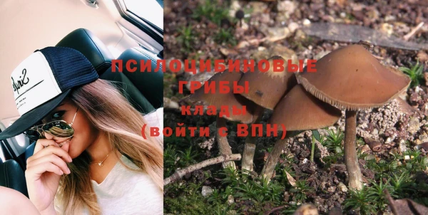 амф Бугульма