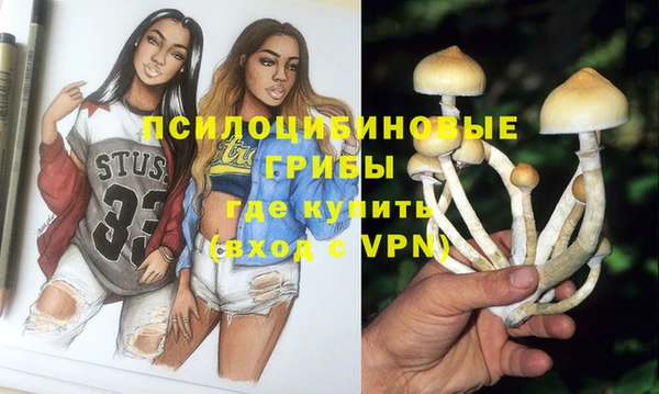 ПСИЛОЦИБИНОВЫЕ ГРИБЫ Бронницы