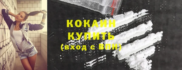 mix Бородино